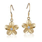 The picture shows a pair of yellow gold vermeil flower hook earrings with cubic zirconia.