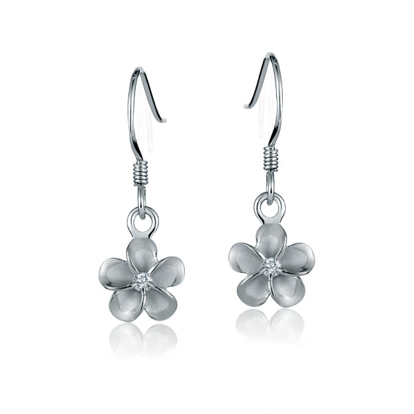 The picture shows a pair of silver rhodium plated hook earrings with cubic zirconia.  