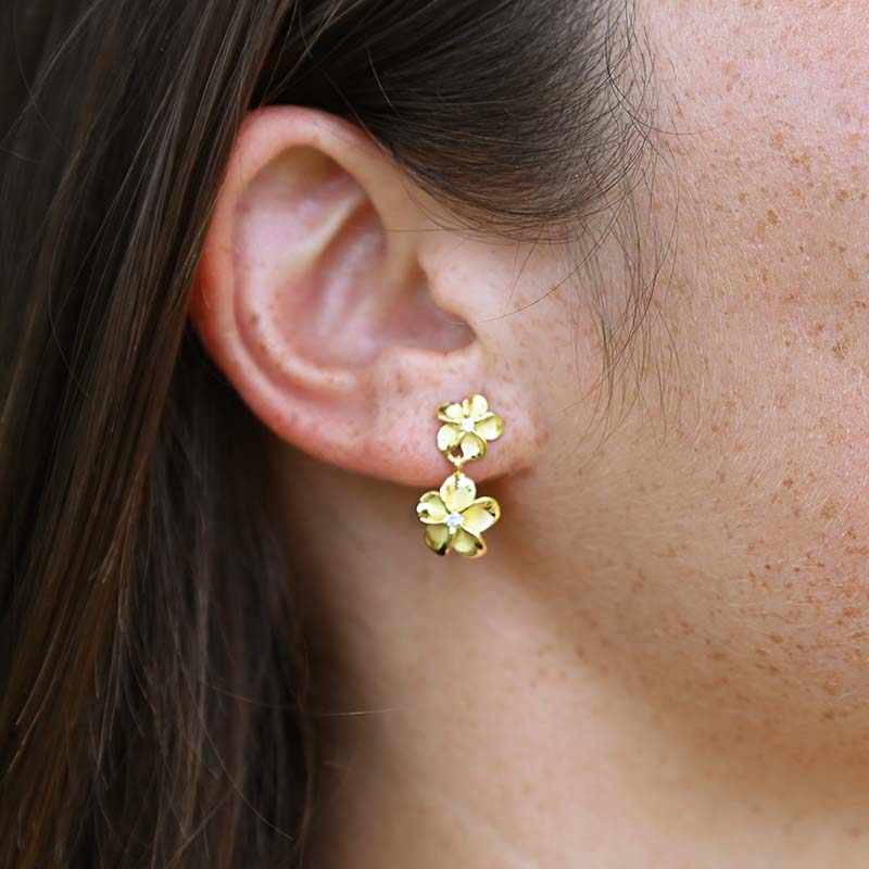 Boucles D'oreilles Pendantes Deux Plumerias